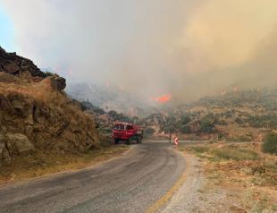 Strong winds complicate wildfire fight across western Türkiye