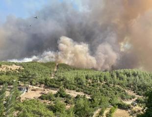 Most wildfire outbreaks under control as wind warnings persist