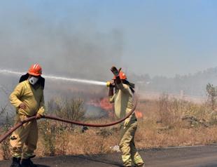 Türkiye probes 29 suspects over forest fires since June