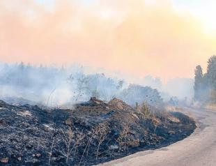 Wildfire fanned by strong winds in Çanakkale under control