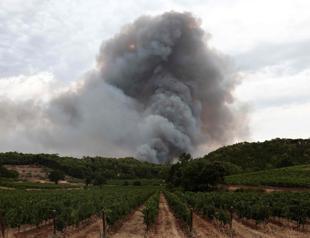 French winemakers dread smoky taste after wildfires