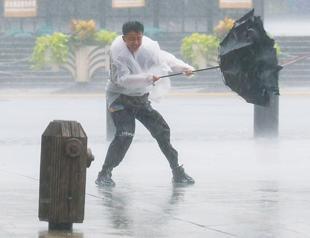 Typhoon Dolphin disrupts travel