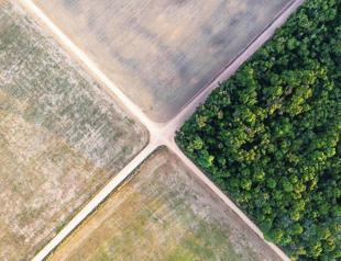 Brazil’s natural areas shrink: Study