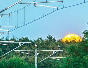 Turkish State Railways launches Istanbul stork study