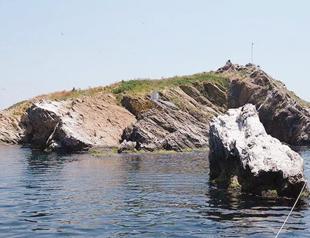 Tavşan Island’s coral model heads to COP31