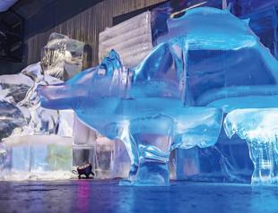 Ice museum offers cool escape from summer