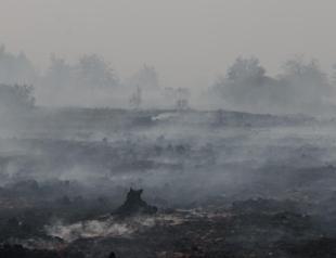 Firefighters pushing to ‘encircle’ Belgian fire