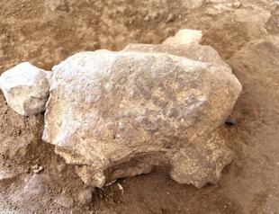 Recently dug turtle figurines expose ancient ritual heritage