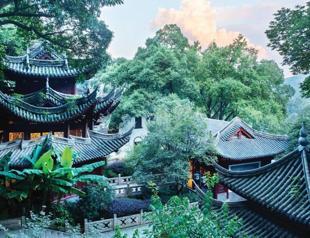 In search of Longjing: The hands behind China’s most revered green tea