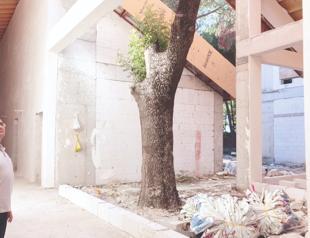 Bursa school design altered to save trees