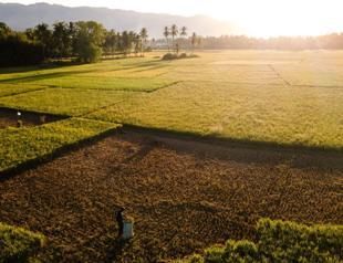 El Nino to be very strong, last until February, UN warns