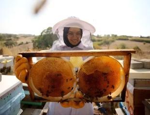 Türkiye aims for top spot in honey production