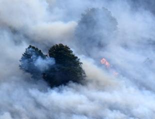 Wildfires, heat waves ‘endanger air quality’
