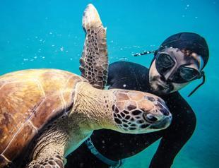 Freediver forms bond with female sea turtle ‘Mahmut’