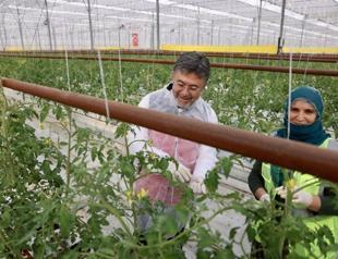 Türkiye to prioritize public investments to drive growth