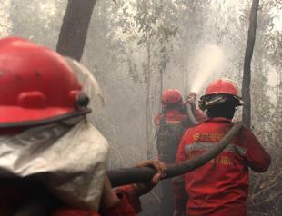 Indonesia struggling to curb forest fires