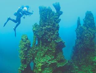 Int’l team to study giant Van Lake microbialites