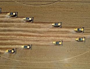 World Bank approves $750 million financing for Türkiye’s agrifood sector