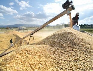 Türkiye steps up regional and global agricultural diplomacy efforts