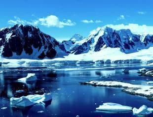Polar oceans transformed as warming melts ice habitats