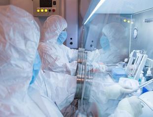 WHO says ‘low’ risk in Russia following plague reports