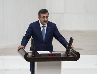 No systemic risk to financial markets: VP Yılmaz