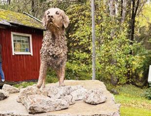 Sweden honors rescue dog Killian for saving 18 lives in Türkiye