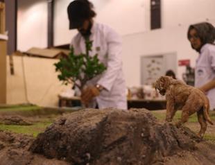 3D models recreate 7.7-million-year-old fauna