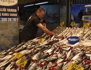 Istanbul union’s call to pause bonito fishing sparks public backlash