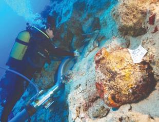 Shipwreck sheds light on ancient maritime trade