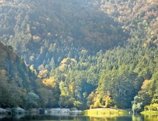 Türkiye adds 12,000 hectares to forest conservation network