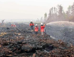 Indonesia fires ‘have burned nearly 2 mln hectares’