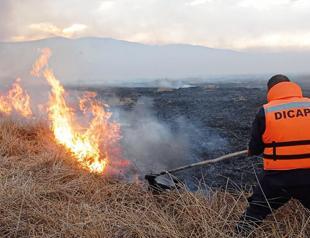 Fires fueled by El Nino leave 12 dead in Peru
