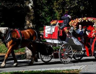 New York votes to ban Central Park horse carriages after decades of debate