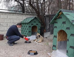 Türkiye converts food waste into animal feed in 74 provinces