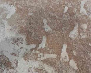 Footprints in New Mexico oldest sign of humans in Americas: Research