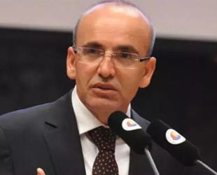 Volatility in FX market temporary, says Şimşek