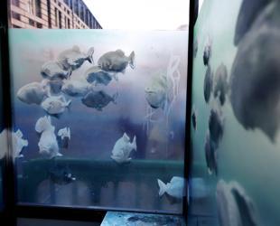 Banksy unveils seventh animal-themed work in a week