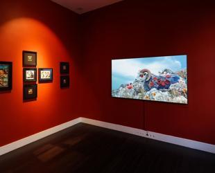 A Journey A Slope exhibition at Vision Art Platform