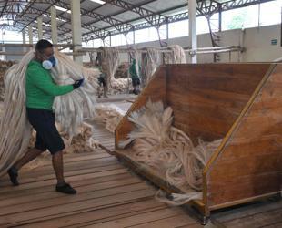 Japan firm ‘doesnt have money for slavery compensation’