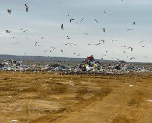 Ministry fines Ankara water authority over environmental violations