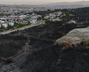 Wildfires sweep western Türkiye, ravaging thousands of hectares