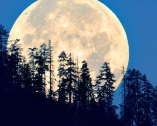 Supermoon to light up night sky as closest of the year