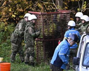 Japan deploys army to counter a surge in bear attacks