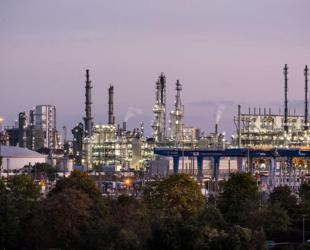 BASF boss says China vital for companys future growth