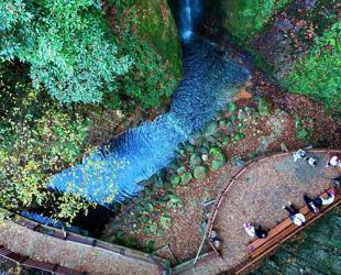 Ecotourism flourishes in forests, driving rural development