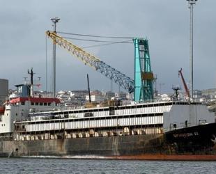 Livestock carrier leaves waters amid Türkiye’s safety concerns