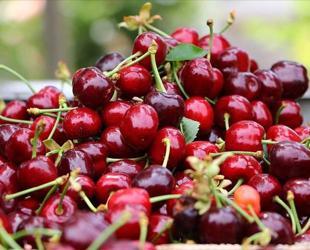 Türkiye ranks first worldwide in seven agricultural products