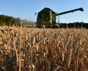 EU reaches accord on new generation of GM crops