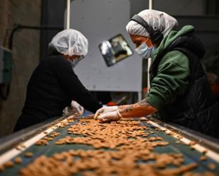 French almond makers revive traditions to counter US dominance